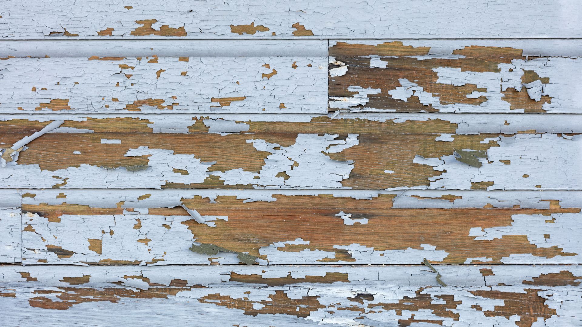 Close-up of weathered wooden siding with peeling white paint, revealing the brown wood beneath. The surface shows signs of age and wear, common issues noted during home inspections on Long Island, with paint flakes scattered throughout the planks.