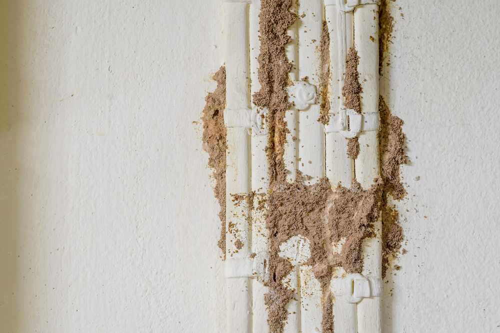 Close-up of a wall with tubes embedded in it, partially exposed, revealing construction damage and loose beige material around them. The wall and tubes are white, and the tubes appear to have been previously covered.