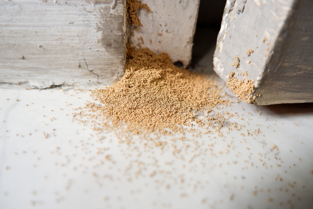 A close-up of fine, light brown sawdust scattered on a white surface between two rough, unpainted concrete blocks. The texture of the blocks and granules of sawdust is clearly visible.